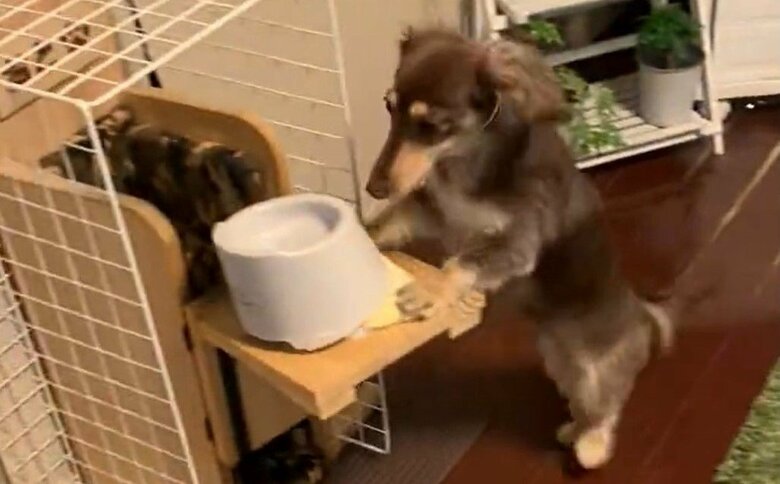 自分でテーブルを押して…