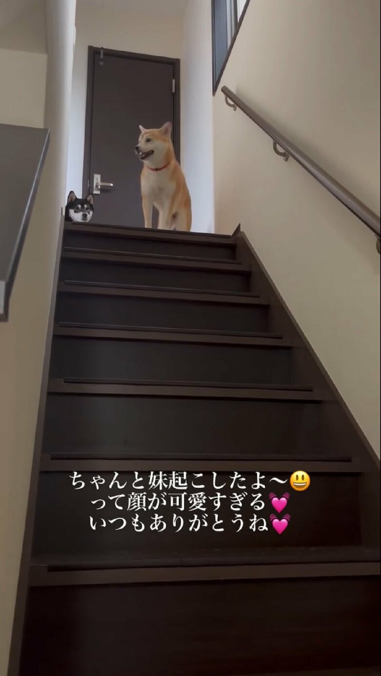 起こされた小豆ちゃんもひょっこり顔を出す