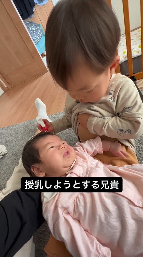 提供：＠zen_pokoさん