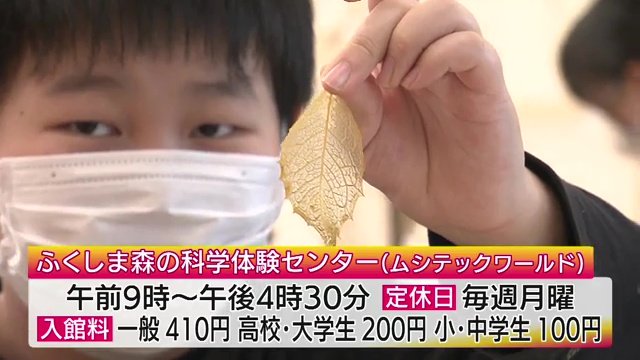 科学に触れる100以上のプログラム