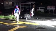 県道交差点で６０代の女性が車にはねられ重傷　ひき逃げ容疑で男を逮捕　広島市安佐北区