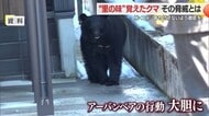“里の味”覚えたクマの脅威 柿・コメ・家畜のえさ・漬物などクマ寄せつけない保管徹底を<専門家に聞く>