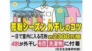 花粉シーズン真っ只中…「外干し」でも室内に入る花粉の量は減らせる すぐに実践できる“3つのコツ”