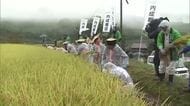 新嘗祭に献上する新米を刈り取り　別府市で抜穂式　生産者「大変誇らしい」大分