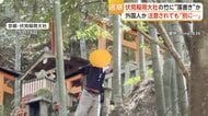 相次ぐ神社の竹への落書き　外国人とみられる2人組、注意されると「別に何も」　持っていた石を投げ捨てる　京都・伏見稲荷大社