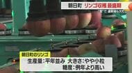 リンゴ主力品種「ふじ」収穫最盛期・雪で選果場フル稼働　やや小粒も例年より糖度高く美味　山形・朝日町