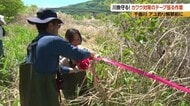 千曲川でアユ釣り解禁を前に「カワウ対策」　漁業関係者と大学生がカワウが嫌う成分を含むテープを張る作業　長野・上田市