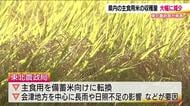 今年のコメの予想収穫量　福島県は去年より3万トン余り減少見込み　備蓄米への転換や長雨などの影響