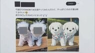 加工アプリ「SNOW」で“ステマ”指摘　消費者庁が提供事業者2社に行政処分　景品表示法違反で措置命令