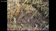 新たに北朝鮮軍の地雷見つかる　軍事境界線近くで地雷が爆発、韓国軍幹部3人が負傷した現場付近　南北の緊張一気に高まる恐れ