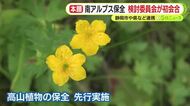 加速する静岡工区　南アルプス保全へ検討委員会が初会合　静岡市や県などが取り組むネイチャーポジティブ
