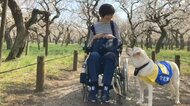 国内にわずか53匹…体が不自由な人の生活助ける“介助犬”　難病の女性との訓練に密着「介助犬が当たり前の世の中に」