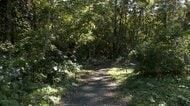 クマに襲われ登山中の67歳男性けが　クマ1頭に顔を引っかかれ左腕かまれる　ドクターヘリで搬送　秋田・北秋田市