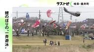 約300匹が川をまたいで春風に…鯉のぼりの“一斉遊泳” 1987年に始まり40回目で岐阜県垂井町の春の風物詩