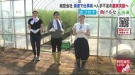 「アスパラがこんなに大変な作業で」農業スタッフは