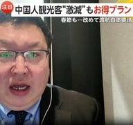 「今こそ国内旅行がお得」…中国人観光客激減でチャンス　各地で大幅割引のホテルや“富士山見えないと半額”プランも