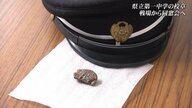 「亡くなった学友たちが目に浮かぶ」沖縄戦から77年　陣地壕から元学徒の“校章”発見…持ち主はどこに