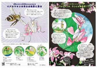 ジャポニカ学習帳に 昆虫シリーズ が復活 虫が苦手な子への工夫もされていた