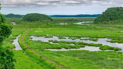 地平線、遠すぎ！「夏の北海道」で出会った悩みも溶ける絶景7選　【一人旅研究会の“日本”ノスタルジック写真館】