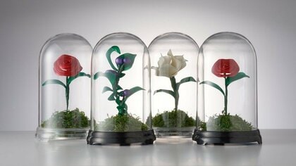 膨らませない“バルーンアート”が不思議…使うのは風船と針金？作り方や他の作品を見せてもらった