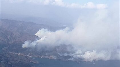 森林の被害額は59億3900万円　2月の大船渡市山林火災　市が調査結果公表　岩手県