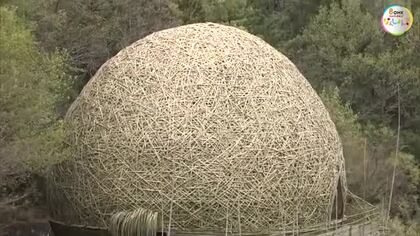 約４０００本の竹で見せる力強さ…台湾のアーティストが６度目の瀬戸芸作品「抱擁・小豆島」を披露【香川】