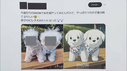 加工アプリ「SNOW」で“ステマ”指摘　消費者庁が提供事業者2社に行政処分　景品表示法違反で措置命令