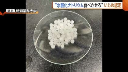 「お菓子」と偽り…中3男子生徒が下級生に“水酸化ナトリウム”食べさせた問題　第三者委調査で“いじめ”と認定　新潟・五泉市