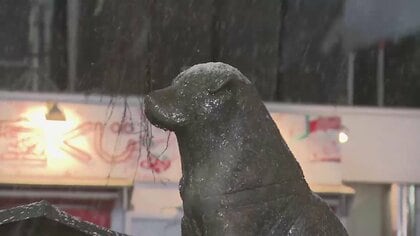 【東京に大雪警報】渋谷・ハチ公も雪かぶる　バス待ちは“長蛇の列”　バスあきらめ徒歩で1時間…高速道路も通行止め