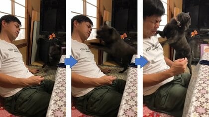 「早く！」ドライブを待ちきれない甲斐犬の“突撃”がすごい…起こされた投稿者に目覚め具合を聞いた
