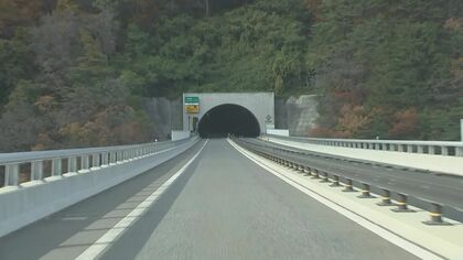 クマと大型トラックが衝突　子グマ2頭がとどまるも山へ立ち去る　三陸道約10時間通行止め　岩手県野田村