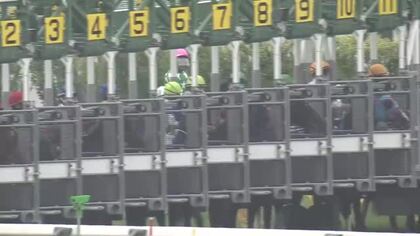 【函館競馬】11R函館日刊スポーツ杯は、3歳牝馬のドゥアムールが人気に応えて逃げ切り勝ち――地元函館出身の丹内騎手が騎乗