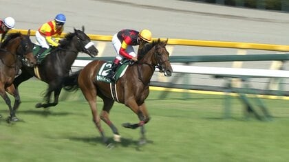 【府中牝馬S ＆ しらさぎS・GⅢ】府中牝馬Sはセキトバイーストが制す！しらさぎSはキープカルムが初代王者に