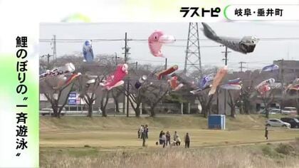 約300匹が川をまたいで春風に…鯉のぼりの“一斉遊泳” 1987年に始まり40回目で岐阜県垂井町の春の風物詩