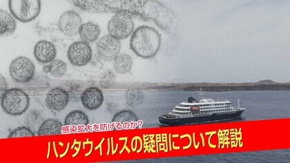 【徹底解説】ハンタウイルスの特徴や症状は?　感染症専門家「ヒト-ヒト感染はまれ」「ワクチンない」…しかしそれには理由が