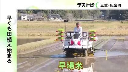 通常より早い時期に収穫…三重県紀宝町で早場米の田植え 県開発の品種『なついろ』で順調に育てば7月下旬に収穫予定
