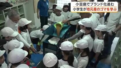 やってみると「力仕事」ゴマのブランド化進む小豆島で小学生が地元の食や農業に興味を持つ体験学習【香川】