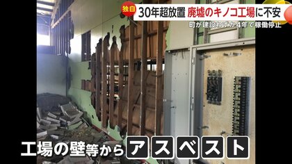独自】30年超放置され“廃墟”キノコ工場が小学生の遊び場に…2度の不審火