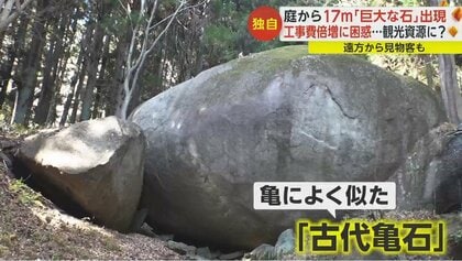 独自】「でかい！」高さ17mの“巨大な石”が突如出現 地元住民「町おこし
