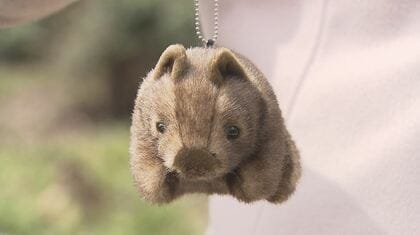 【完売品】ウォンバットぬいぐるみキーホルダー　長野　茶臼山動物園 長野市茶臼山動物園公式 on X