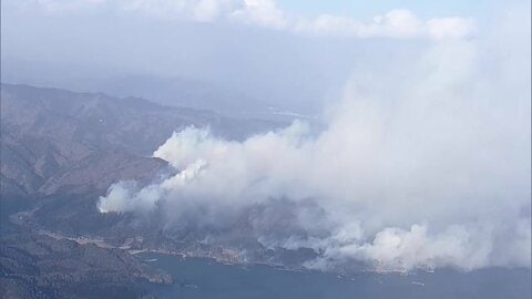 森林の被害額は59億3900万円　2月の大船渡市山林火災　市が調査結果公表　岩手県