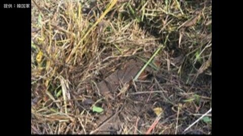 新たに北朝鮮軍の地雷見つかる　軍事境界線近くで地雷が爆発、韓国軍幹部3人が負傷した現場付近　南北の緊張一気に高まる恐れ