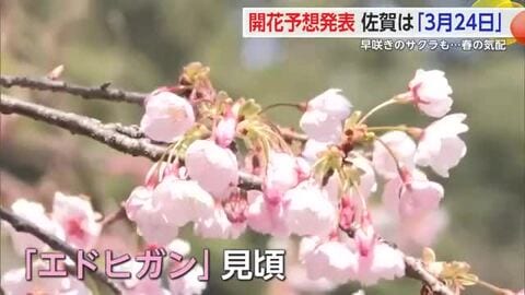 サクラ開花予想　佐賀県は「３月２４日」　武雄市の公園で早咲きのサクラも【佐賀県】