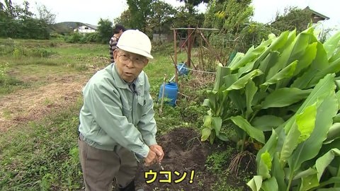 ブランド化へ91歳が新たな挑戦 雪国で育てて30年 スーパーウコンじい と地域の輪 新潟発