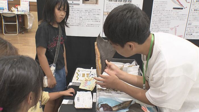 サメのヒレについて解説をする宮下孔伽さん（右）