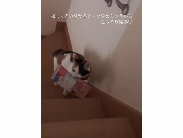 提供:kiyokoさん