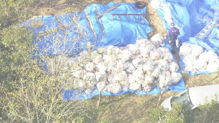 ブルーシートなどで覆いながら遺体を捜索