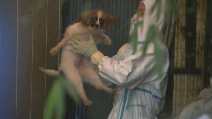 飼育施設への家宅捜索(長野県松本市 2021年9月)