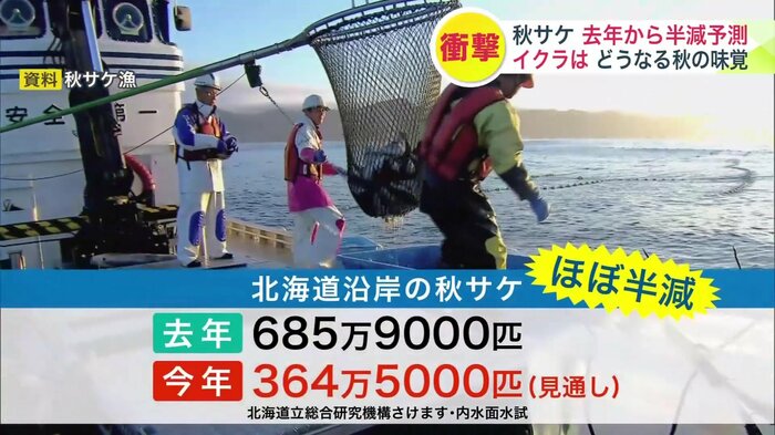 2026年は秋サケの来遊数が半減する見通し