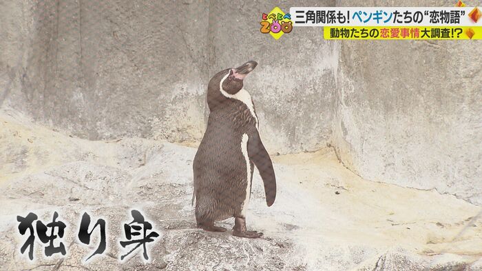 寂しそうな背中
